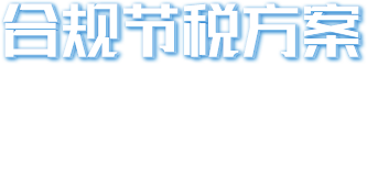 财税解决方案