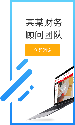 专业财税顾问